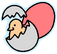 Comparing fresh eggs and boiled eggs