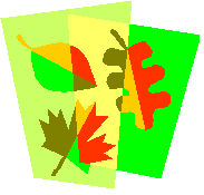 Characteristics of leaves