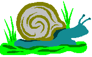 What do snails prefer to eat?